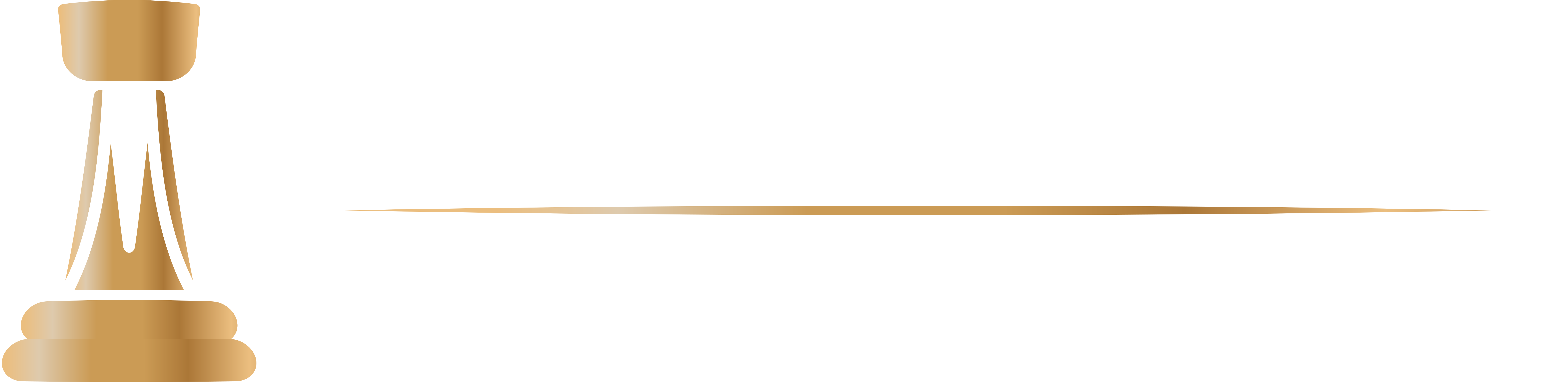 DBZ Advogados | Escritório de advocacia